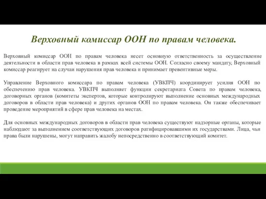 Верховный комиссар ООН по правам человека несет основную ответственность за осуществление