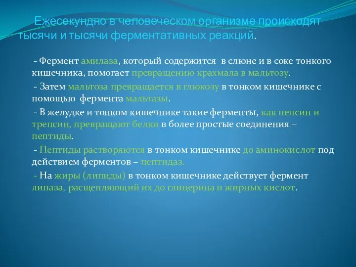 Ежесекундно в человеческом организме происходят тысячи и тысячи ферментативных реакций. -