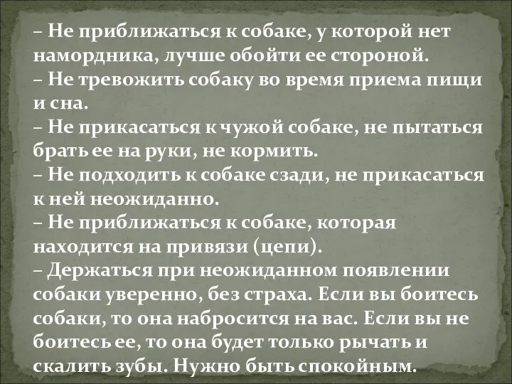 – Не приближаться к собаке, у которой нет намордника, лучше обойти