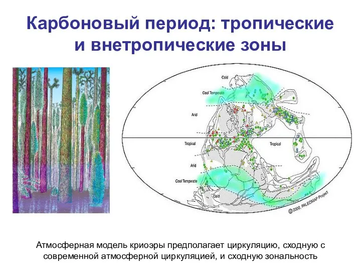 Карбоновый период: тропические и внетропические зоны Атмосферная модель криоэры предполагает циркуляцию,