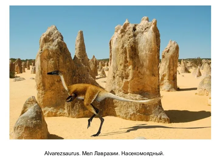 Alvarezsaurus. Мел Лавразии. Насекомоядный.