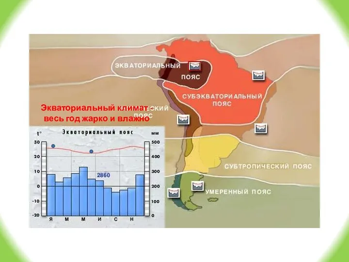 Экваториальный климат - весь год жарко и влажно