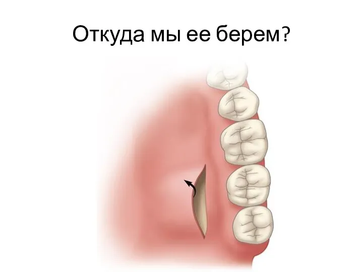 Откуда мы ее берем?