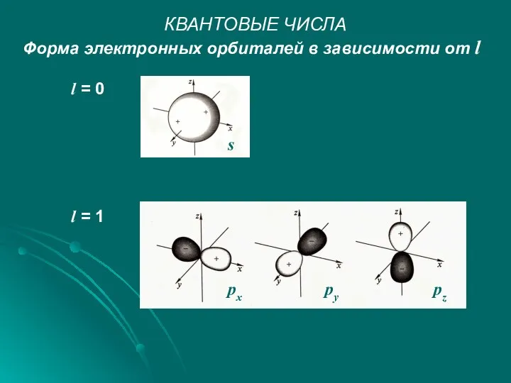 КВАНТОВЫЕ ЧИСЛА Форма электронных орбиталей в зависимости от l