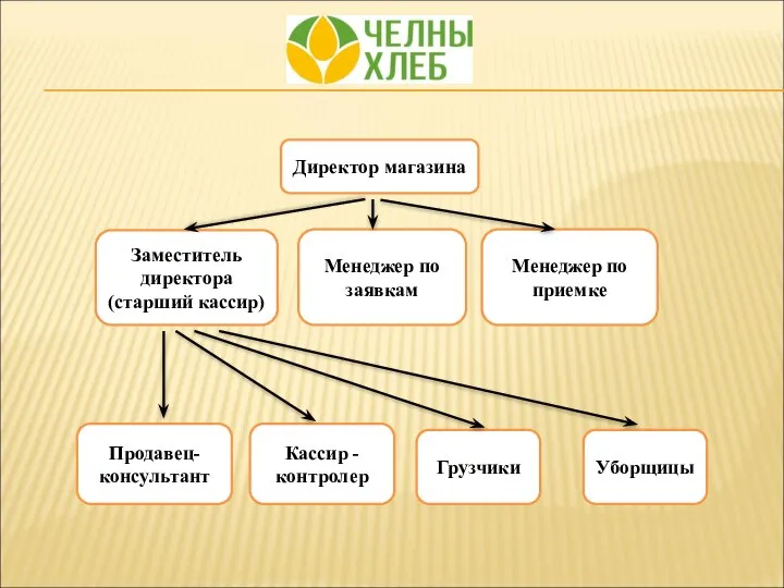 Директор магазина Заместитель директора (старший кассир) Менеджер по заявкам Менеджер по