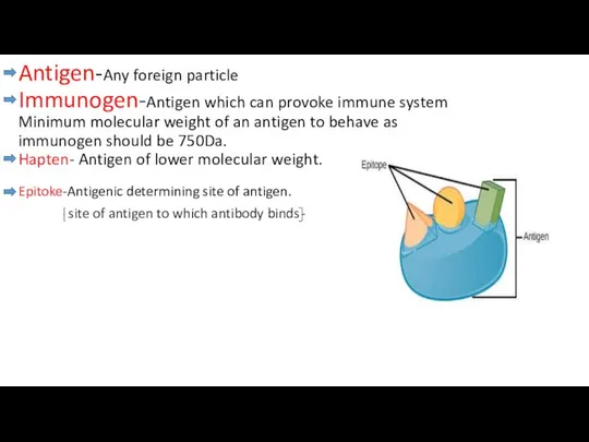 Antigen-Any foreign particle Immunogen-Antigen which can provoke immune system Minimum molecular