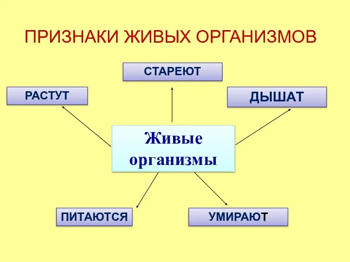 Живые организмы ДЫШАТ ПИТАЮТСЯ РАСТУТ УМИРАЮТ СТАРЕЮТ ПРИЗНАКИ ЖИВЫХ ОРГАНИЗМОВ