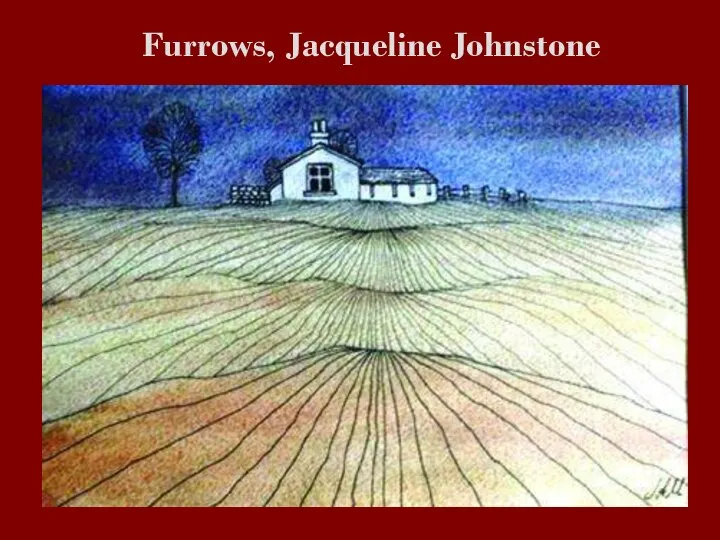 Furrows, Jacqueline Johnstone