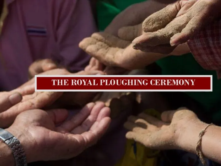 THE ROYAL PLOUGHING CEREMONY