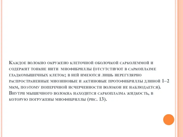 Каждое волокно окружено клеточной оболочкой сарколеммой и содержит тонкие нити миофибриллы