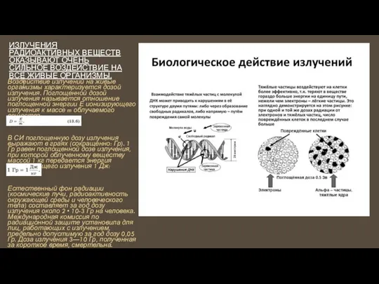 ИЗЛУЧЕНИЯ РАДИОАКТИВНЫХ ВЕЩЕСТВ ОКАЗЫВАЮТ ОЧЕНЬ СИЛЬНОЕ ВОЗДЕЙСТВИЕ НА ВСЕ ЖИВЫЕ ОРГАНИЗМЫ.