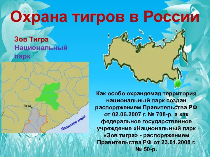 Охрана тигров в России Зов Тигра Национальный парк Как особо охраняемая