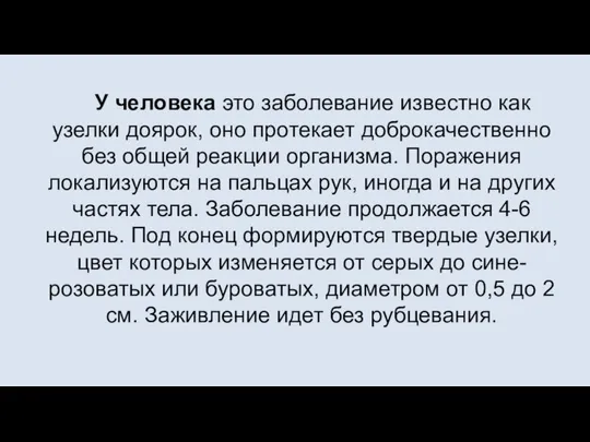 У человека это заболевание известно как узелки доярок, оно протекает доброкачественно