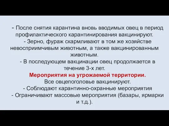 - После снятия карантина вновь вводимых овец в период профилактического карантинирования