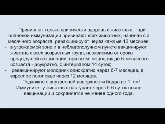 Прививают только клинически здоровых животных. - при плановой иммунизации прививают всех