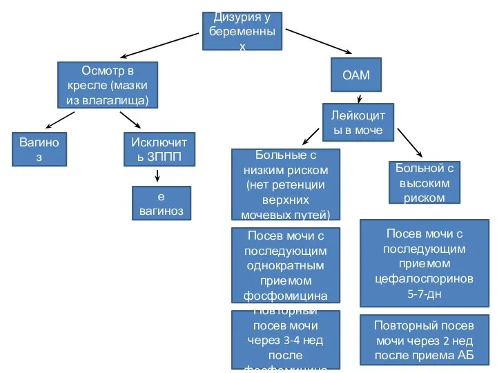 Дизурия у беременных Осмотр в кресле (мазки из влагалища) ОАМ Вагиноз