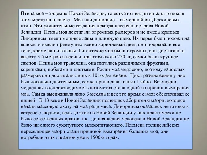 Птица моа – эндемик Новой Зеландии, то есть этот вид птиц