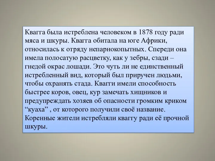 Квагга была истреблена человеком в 1878 году ради мяса и шкуры.