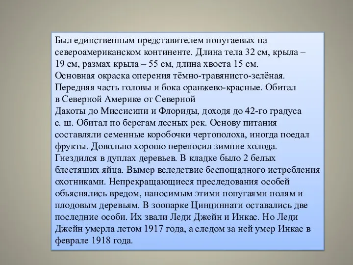 Был единственным представителем попугаевых на североамериканском континенте. Длина тела 32 см,