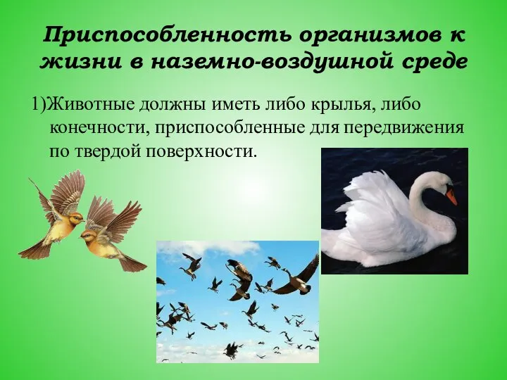 Приспособленность организмов к жизни в наземно-воздушной среде 1)Животные должны иметь либо