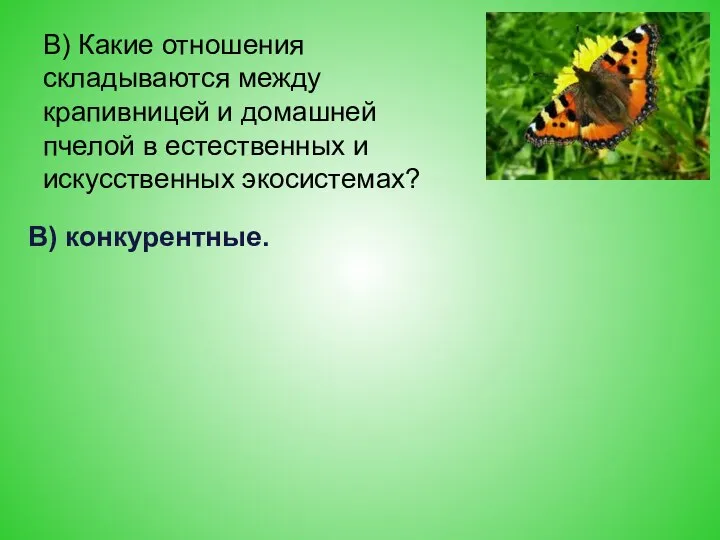 В) Какие отношения складываются между крапивницей и домашней пчелой в естественных и искусственных экосистемах? В) конкурентные.