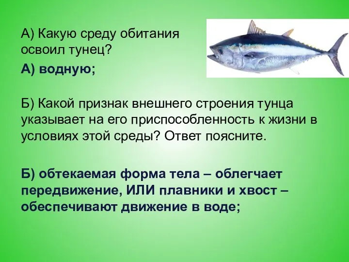 А) Какую среду обитания освоил тунец? А) водную; Б) Какой признак