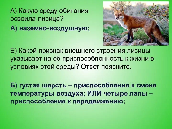 А) Какую среду обитания освоила лисица? А) наземно-воздушную; Б) Какой признак