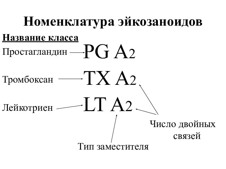 Номенклатура эйкозаноидов PG A2 TX A2 LT A2 Название класса Простагландин