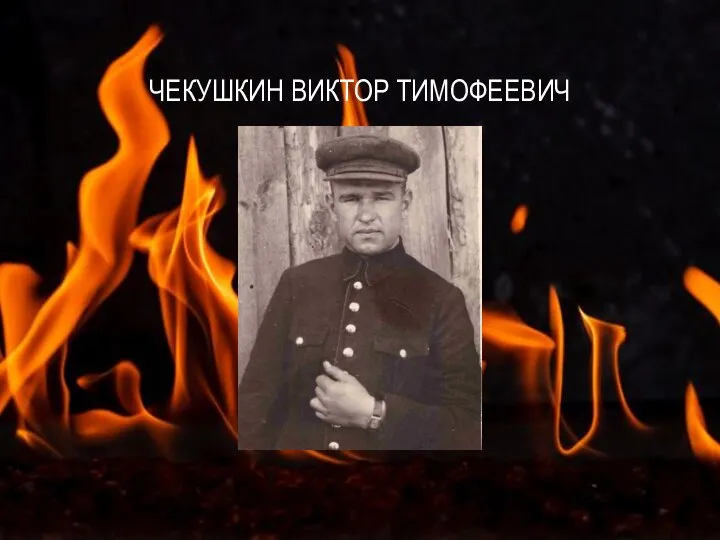 ЧЕКУШКИН ВИКТОР ТИМОФЕЕВИЧ