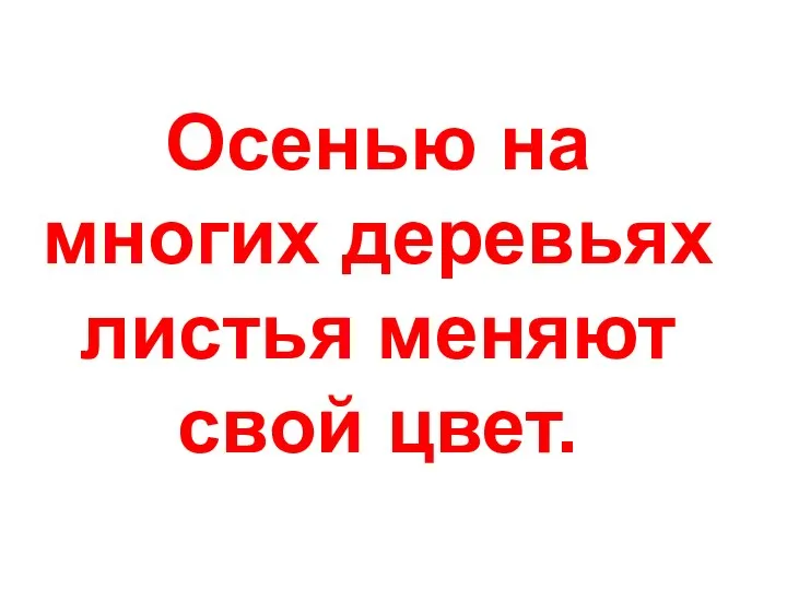 Осенью на многих деревьях листья меняют свой цвет.