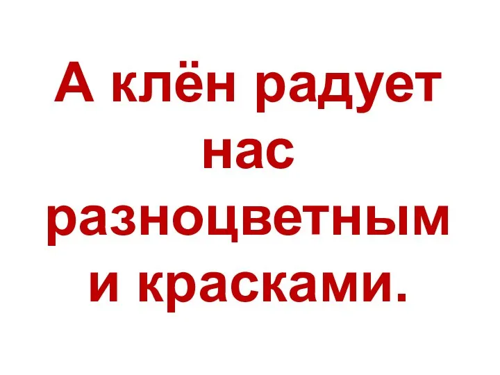 А клён радует нас разноцветными красками.