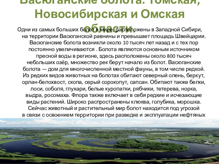 Васюганские болота. Томская, Новосибирская и Омская области. Одни из самых больших