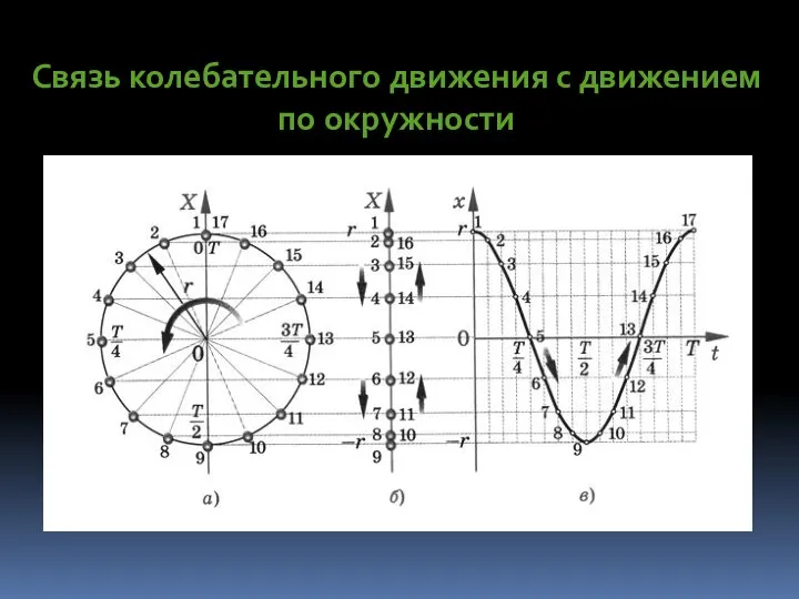 Связь колебательного движения с движением по окружности