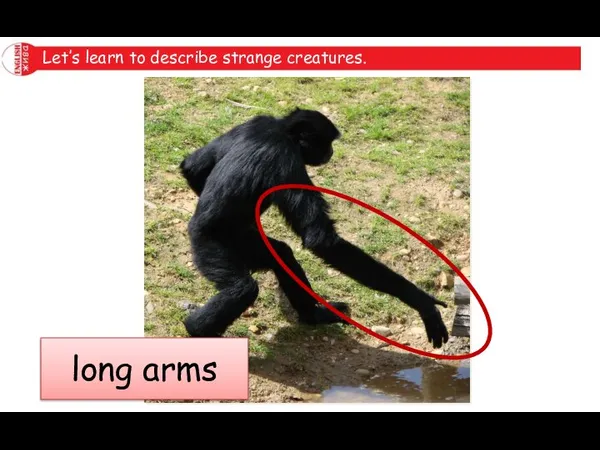 Let’s learn to describe strange creatures. long arms