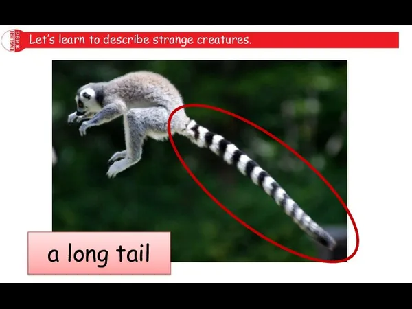 Let’s learn to describe strange creatures. a long tail