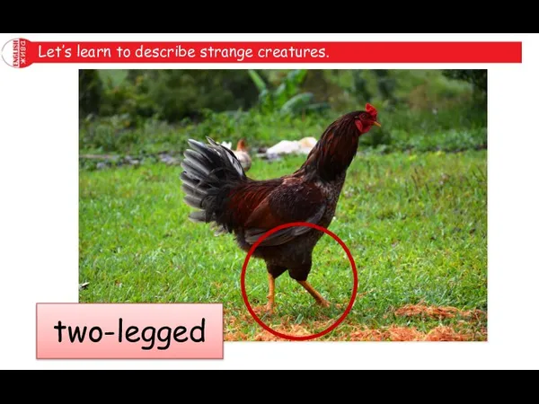 Let’s learn to describe strange creatures. two-legged