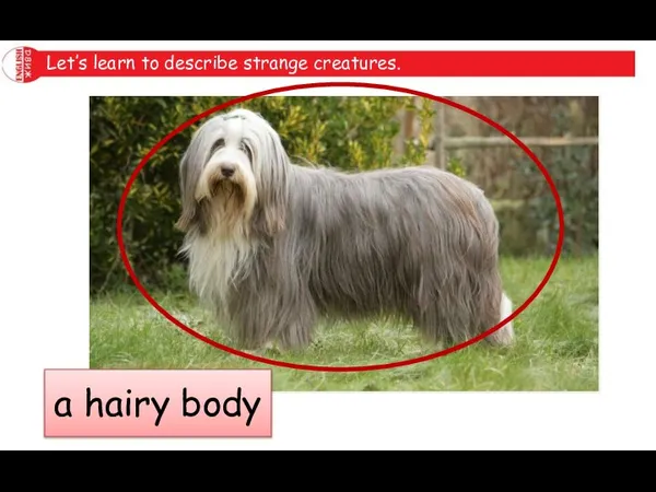 Let’s learn to describe strange creatures. a hairy body