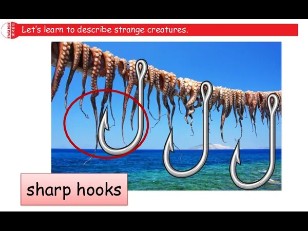 Let’s learn to describe strange creatures. sharp hooks