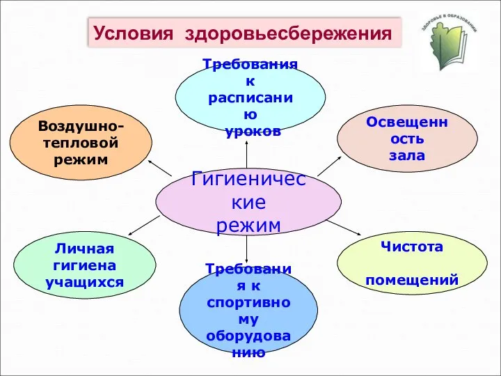 Гигиенические режим Требования к спортивному оборудованию Освещенность зала Требования к расписанию