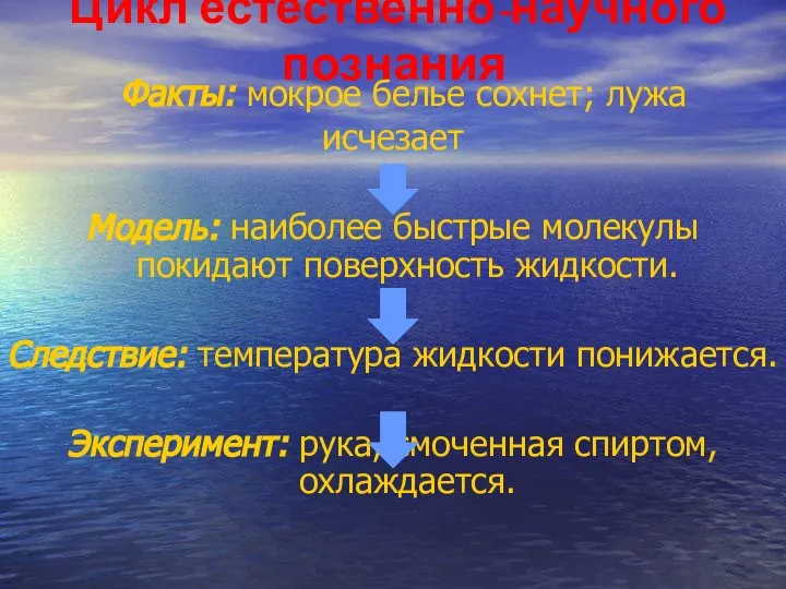 Цикл естественно-научного познания Факты: мокрое белье сохнет; лужа исчезает Модель: наиболее