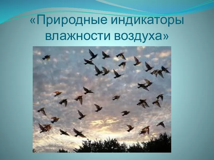 «Природные индикаторы влажности воздуха»