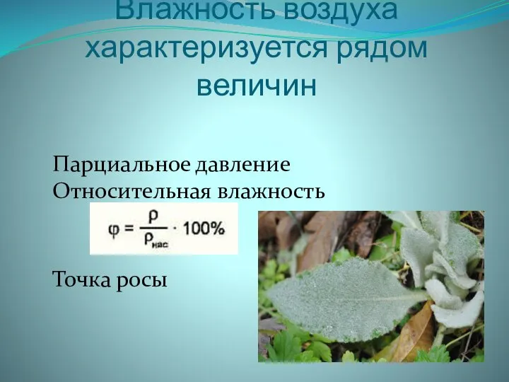 Влажность воздуха характеризуется рядом величин Парциальное давление Относительная влажность Точка росы