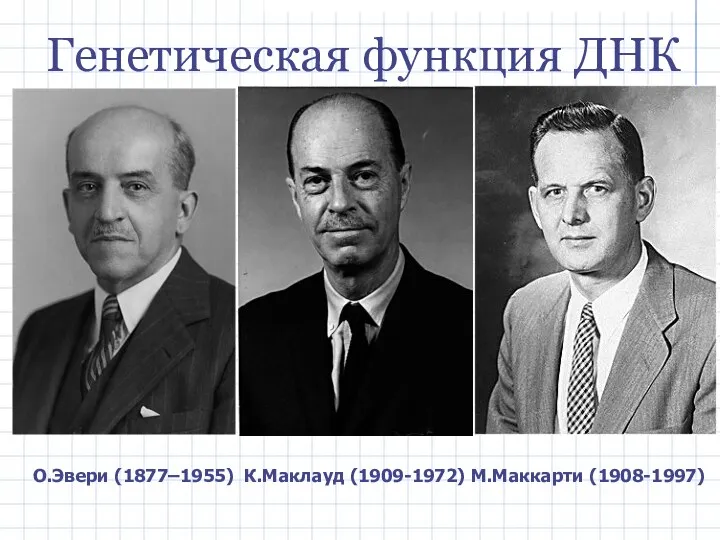 Генетическая функция ДНК О.Эвери (1877–1955) К.Маклауд (1909-1972) М.Маккарти (1908-1997)