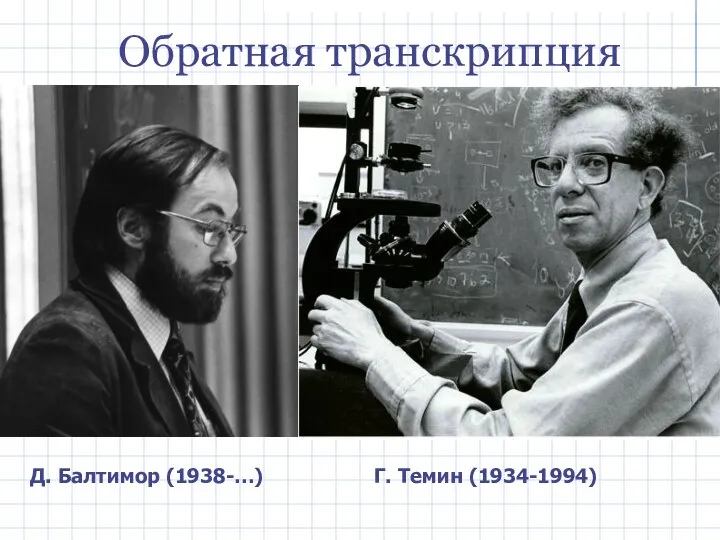 Д. Балтимор (1938-…) Г. Темин (1934-1994) Обратная транскрипция