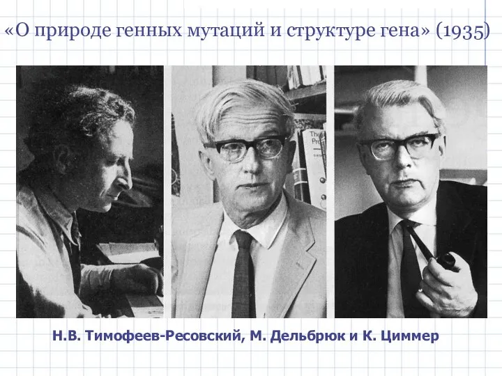 Н.В. Тимофеев-Ресовский, М. Дельбрюк и К. Циммер «О природе генных мутаций и структуре гена» (1935)