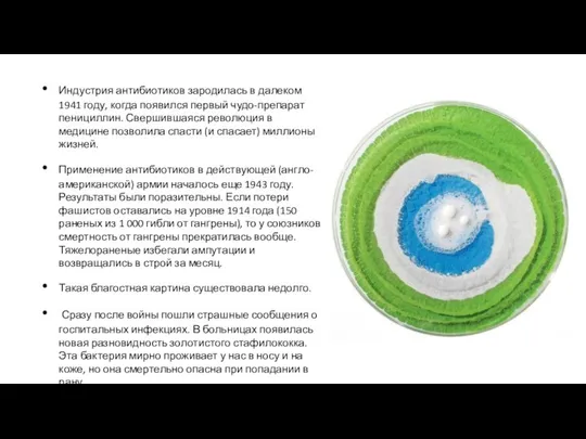 Индустрия антибиотиков зародилась в далеком 1941 году, когда появился первый чудо-препарат