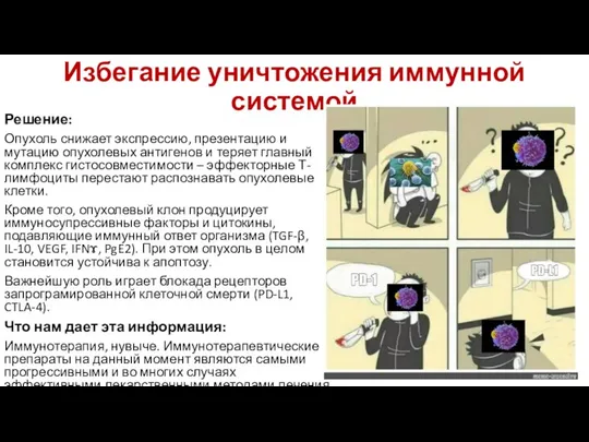 Избегание уничтожения иммунной системой Решение: Опухоль снижает экспрессию, презентацию и мутацию