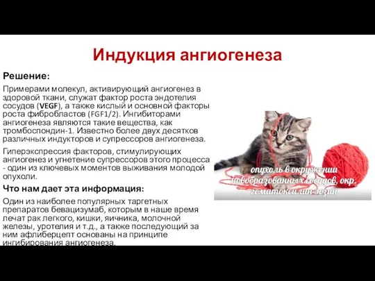 Индукция ангиогенеза Решение: Примерами молекул, активирующий ангиогенез в здоровой ткани, служат