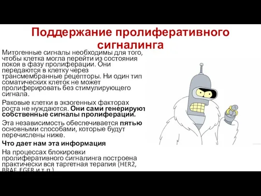 Поддержание пролиферативного сигналинга Митогенные сигналы необходимы для того, чтобы клетка могла