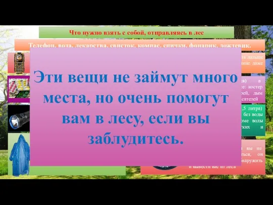 Что нужно взять с собой, отправляясь в лес Телефон, вода, лекарства,